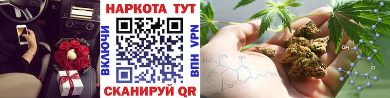 Альфа ПВП Елизово