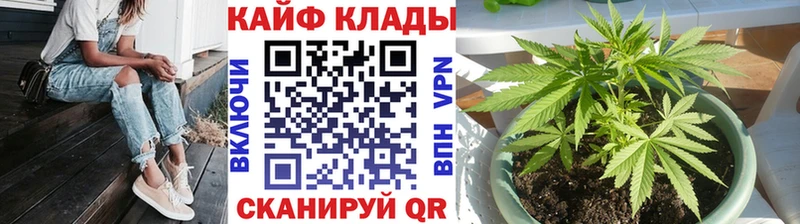 Купить наркотики цена Елизово А ПВП ТГК Меф