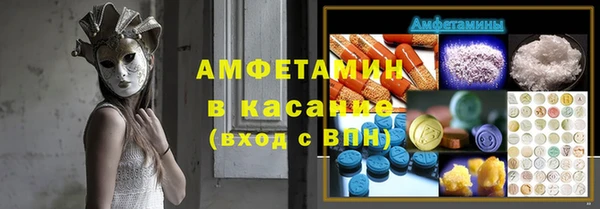 амф Верхний Тагил