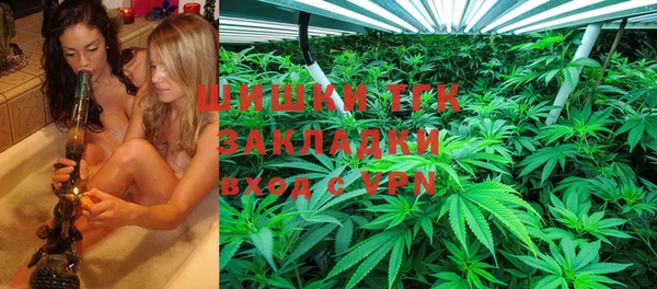 амф Верхний Тагил