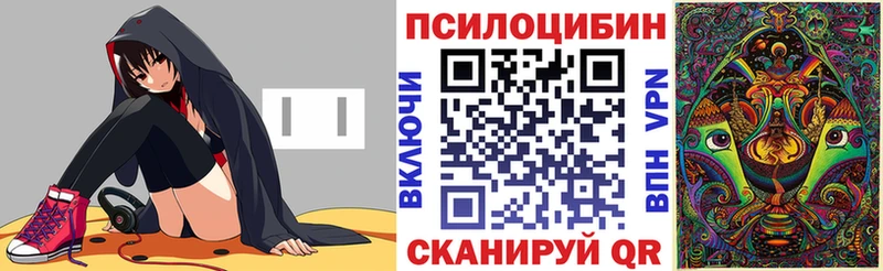 где найти наркотики  Елизово  Галлюциногенные грибы прущие грибы 